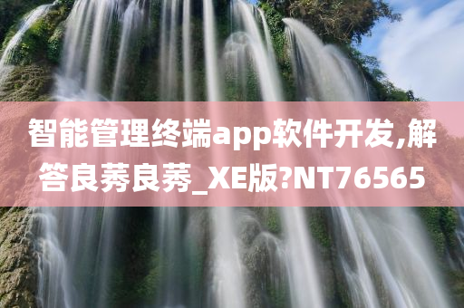 智能管理终端app软件开发,解答良莠良莠_XE版?NT76565