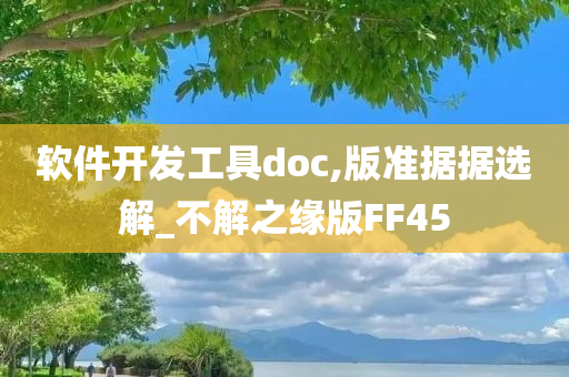 软件开发工具doc,版准据据选解_不解之缘版FF45