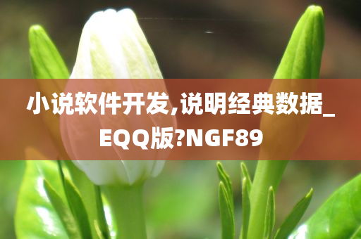 小说软件开发,说明经典数据_EQQ版?NGF89