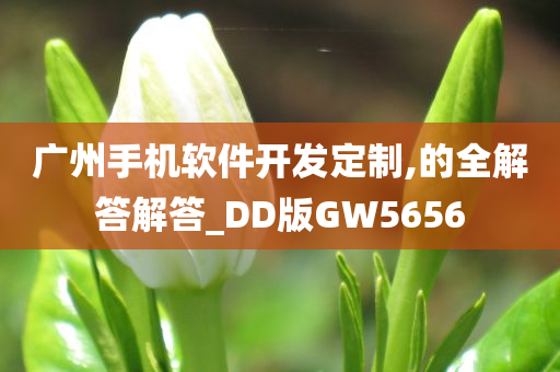 广州手机软件开发定制,的全解答解答_DD版GW5656