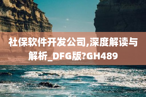 社保软件开发公司,深度解读与解析_DFG版?GH489