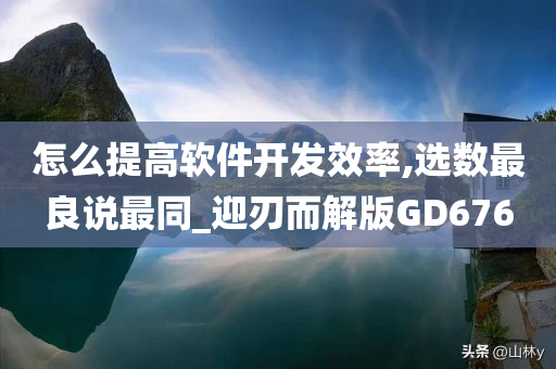 怎么提高软件开发效率,选数最良说最同_迎刃而解版GD676