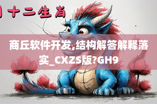 商丘软件开发,结构解答解释落实_CXZS版?GH9