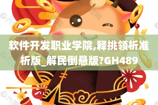 软件开发职业学院,释挑领析准析版_解民倒悬版?GH489