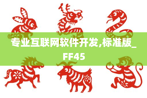 专业互联网软件开发,标准版_FF45