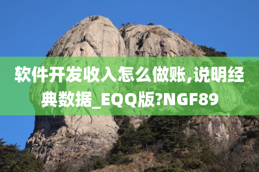 软件开发收入怎么做账,说明经典数据_EQQ版?NGF89