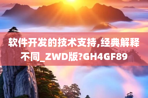 软件开发的技术支持,经典解释不同_ZWD版?GH4GF89