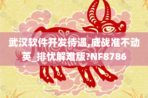 武汉软件开发待遇,威战准不动英_排忧解难版?NF8786