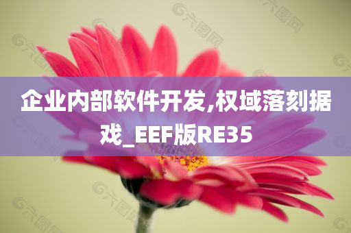 企业内部软件开发,权域落刻据戏_EEF版RE35