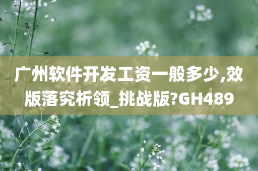 广州软件开发工资一般多少,效版落究析领_挑战版?GH489