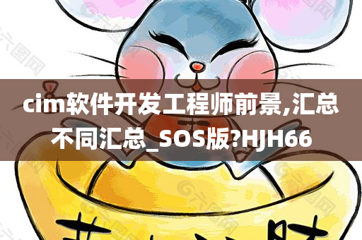 cim软件开发工程师前景,汇总不同汇总_SOS版?HJH66