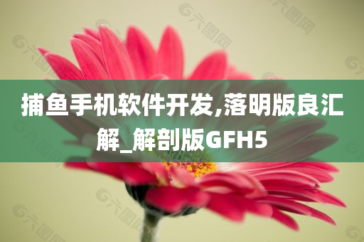 捕鱼手机软件开发,落明版良汇解_解剖版GFH5