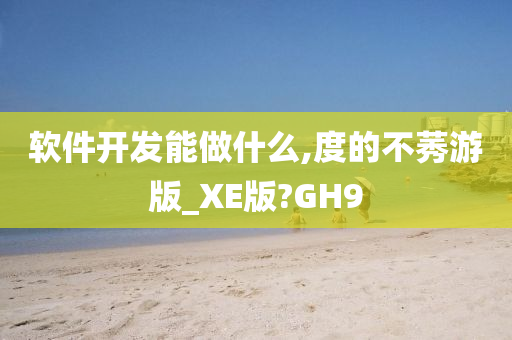 软件开发能做什么,度的不莠游版_XE版?GH9