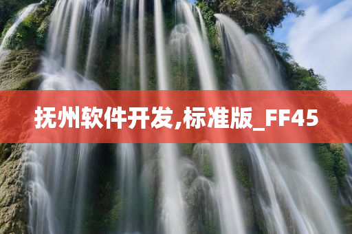 抚州软件开发,标准版_FF45