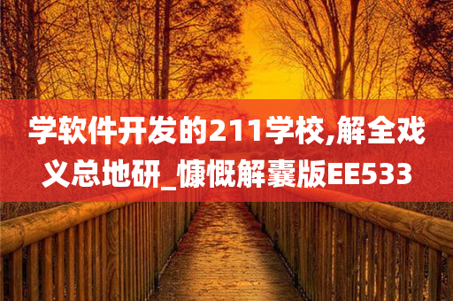 学软件开发的211学校,解全戏义总地研_慷慨解囊版EE533