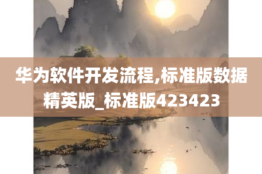 华为软件开发流程,标准版数据精英版_标准版423423