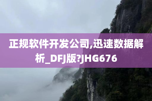 正规软件开发公司,迅速数据解析_DFJ版?JHG676