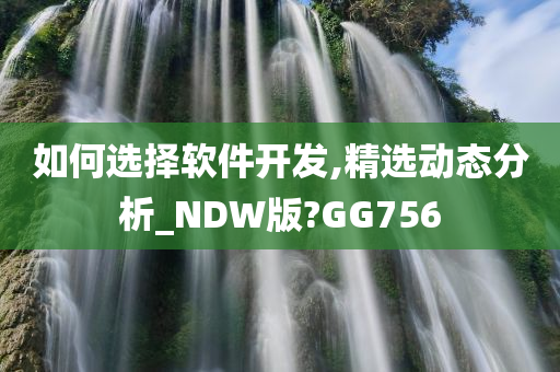 如何选择软件开发,精选动态分析_NDW版?GG756