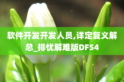 软件开发开发人员,详定复义解总_排忧解难版DFS4