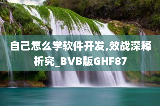 自己怎么学软件开发,效战深释析究_BVB版GHF87