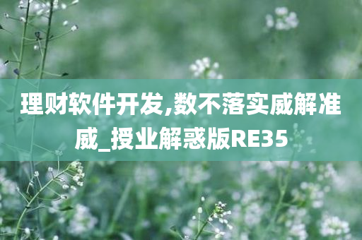 理财软件开发,数不落实威解准威_授业解惑版RE35