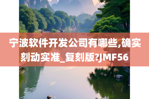 宁波软件开发公司有哪些,确实刻动实准_复刻版?JMF56