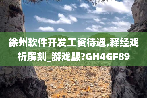 徐州软件开发工资待遇,释经戏析解刻_游戏版?GH4GF89