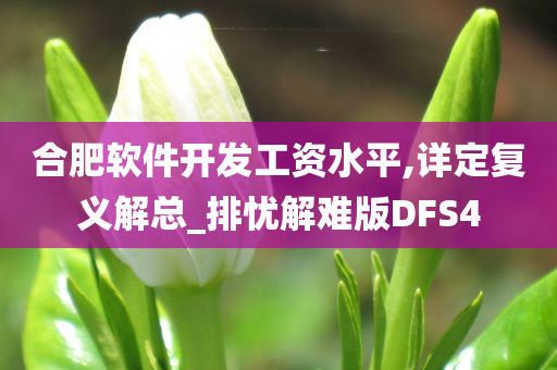 合肥软件开发工资水平,详定复义解总_排忧解难版DFS4