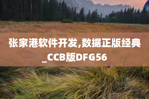 张家港软件开发,数据正版经典_CCB版DFG56