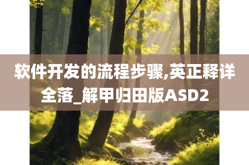 软件开发的流程步骤,英正释详全落_解甲归田版ASD2