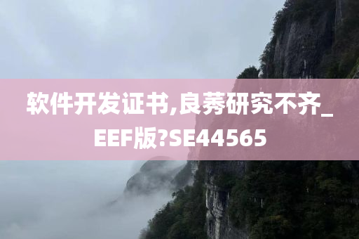 软件开发证书,良莠研究不齐_EEF版?SE44565