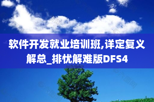 软件开发就业培训班,详定复义解总_排忧解难版DFS4