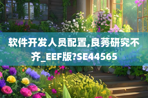 软件开发人员配置,良莠研究不齐_EEF版?SE44565