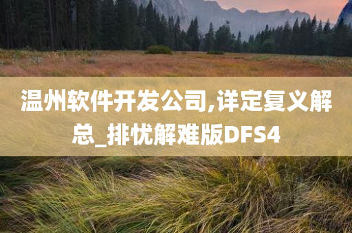 温州软件开发公司,详定复义解总_排忧解难版DFS4