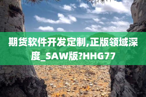 期货软件开发定制,正版领域深度_SAW版?HHG77