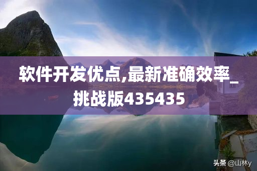 软件开发优点,最新准确效率_挑战版435435