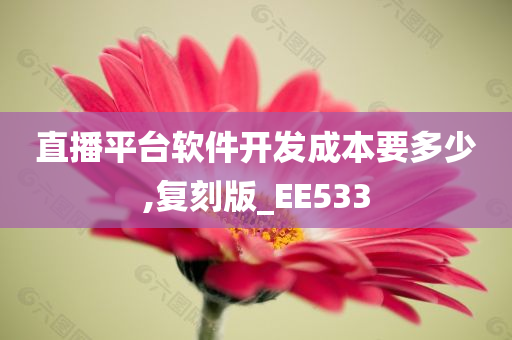 直播平台软件开发成本要多少,复刻版_EE533