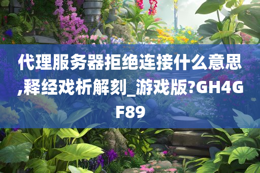 代理服务器拒绝连接什么意思,释经戏析解刻_游戏版?GH4GF89