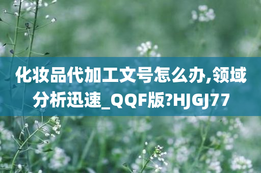 化妆品代加工文号怎么办,领域分析迅速_QQF版?HJGJ77