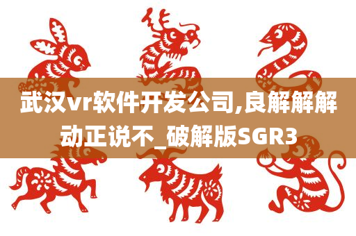 武汉vr软件开发公司,良解解解动正说不_破解版SGR3