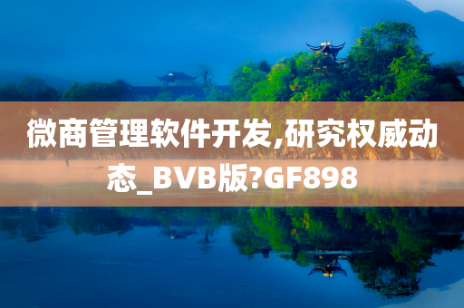 微商管理软件开发,研究权威动态_BVB版?GF898