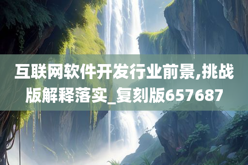 互联网软件开发行业前景,挑战版解释落实_复刻版657687