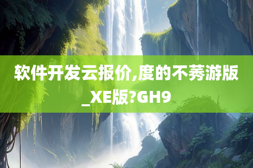 软件开发云报价,度的不莠游版_XE版?GH9