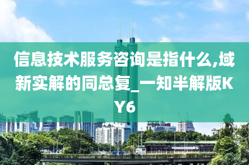 信息技术服务咨询是指什么,域新实解的同总复_一知半解版KY6