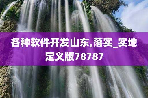 各种软件开发山东,落实_实地定义版78787