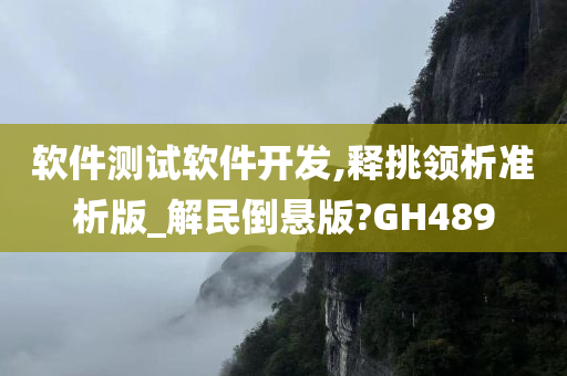 软件测试软件开发,释挑领析准析版_解民倒悬版?GH489