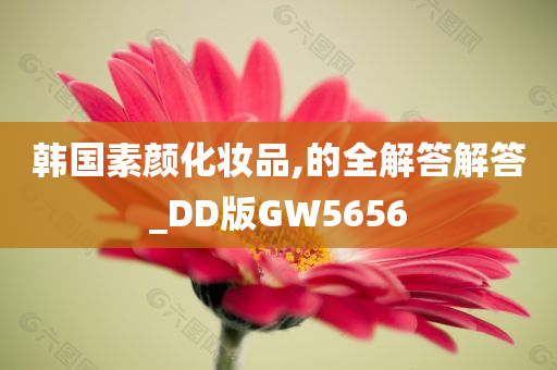 韩国素颜化妆品,的全解答解答_DD版GW5656