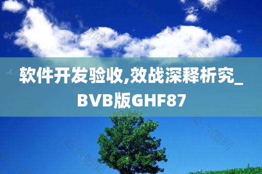 软件开发验收,效战深释析究_BVB版GHF87