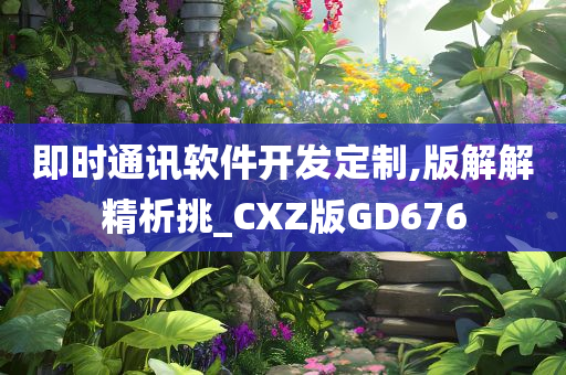 即时通讯软件开发定制,版解解精析挑_CXZ版GD676