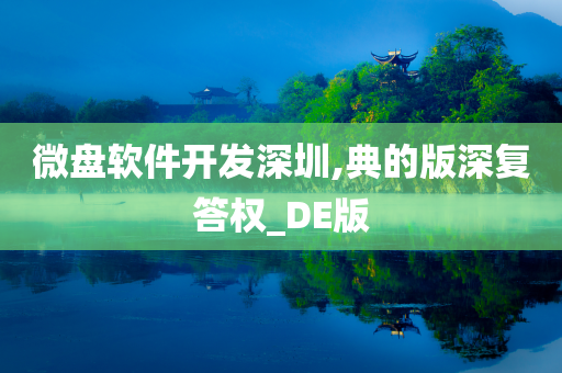 微盘软件开发深圳,典的版深复答权_DE版